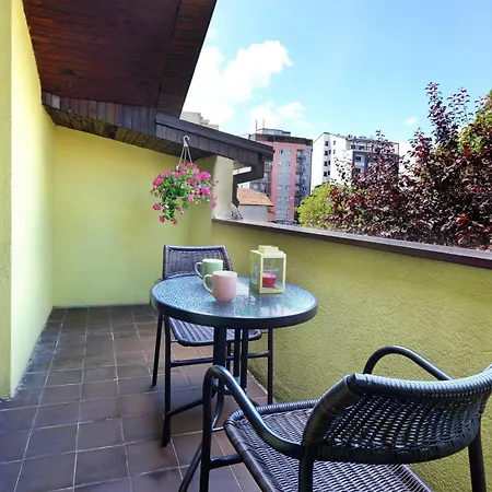 Red Tree * 贝尔格莱德