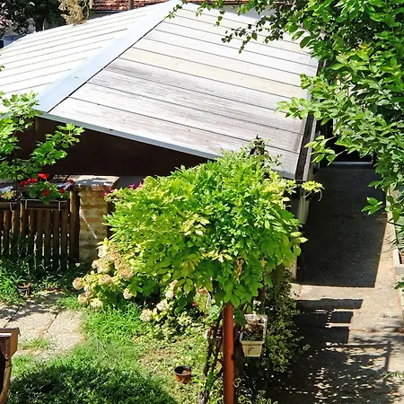 Red Tree Appartamento